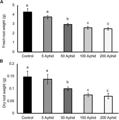 Aphid Colonization Affects Potato Root Exudate Composition and the Hatching of a Soil Borne Pathogen